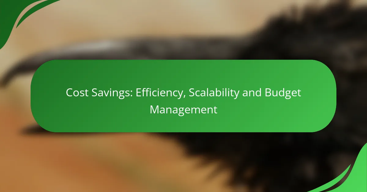 Cost Savings: Efficiency, Scalability and Budget Management