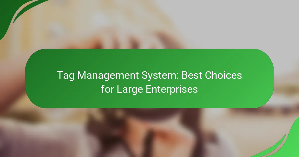 Tag Management System: Best Choices for Large Enterprises