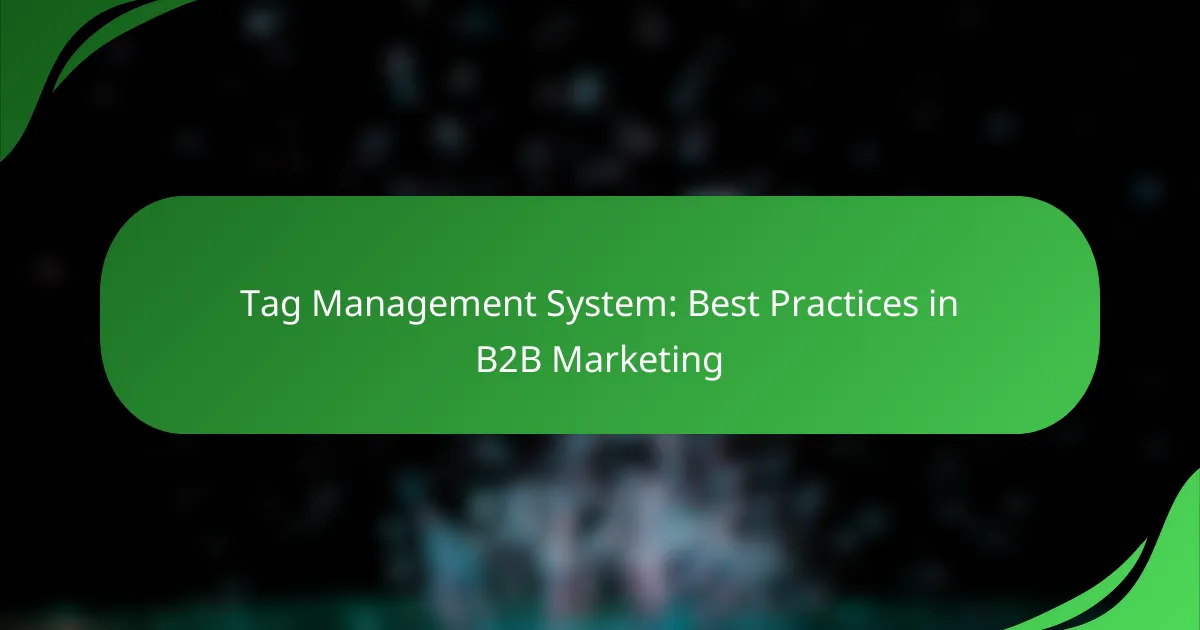 Tag Management System: Best Practices in B2B Marketing
