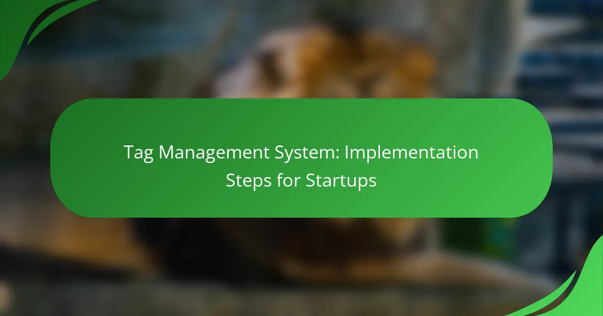 Tag Management System: Implementation Steps for Startups