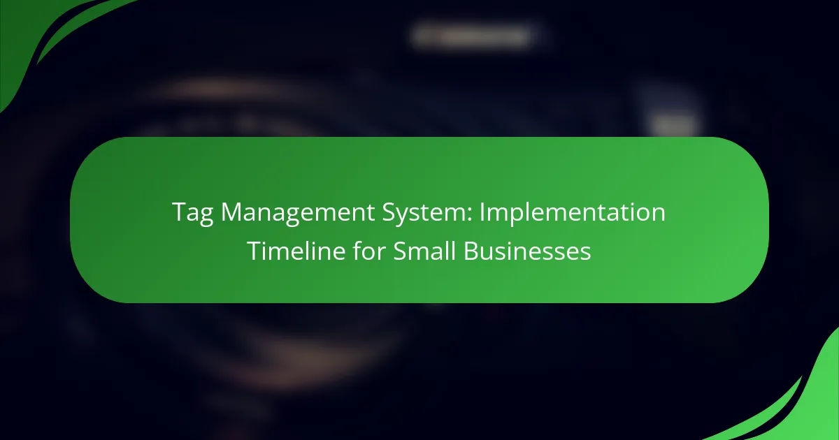Tag Management System: Implementation Timeline for Small Businesses