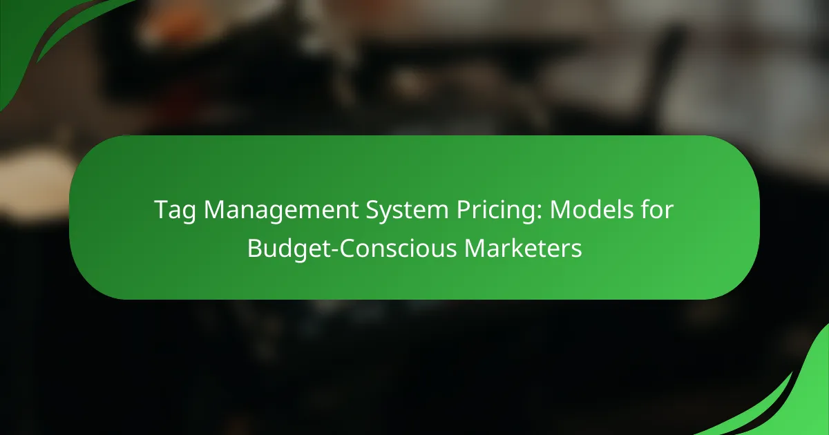 Tag Management System Pricing: Models for Budget-Conscious Marketers