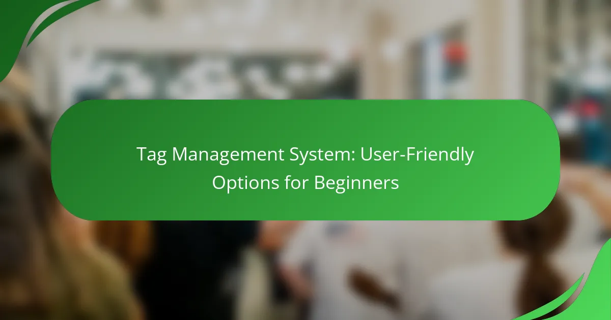 Tag Management System: User-Friendly Options for Beginners