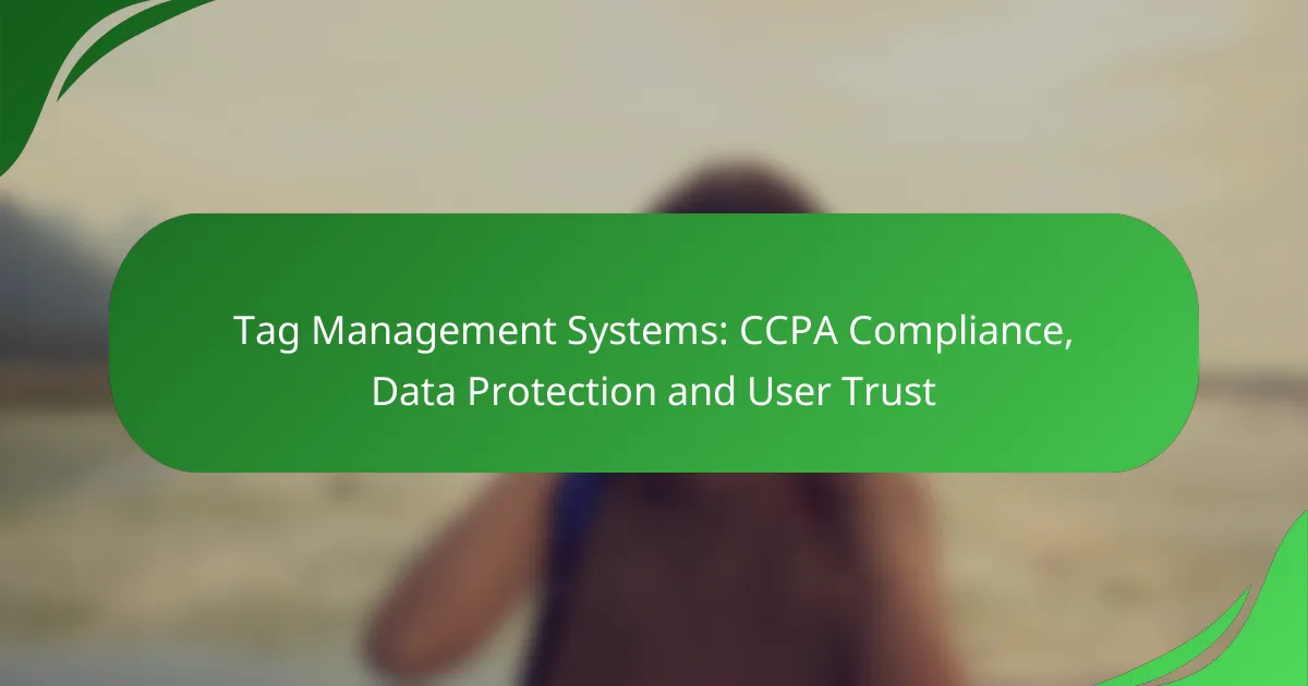 Tag Management Systems: CCPA Compliance, Data Protection and User Trust