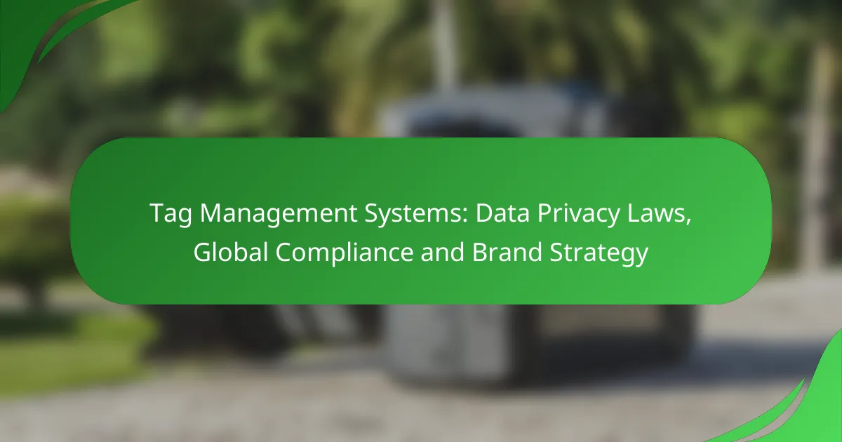 Tag Management Systems: Data Privacy Laws, Global Compliance and Brand Strategy