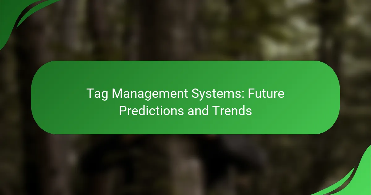 Tag Management Systems: Future Predictions and Trends