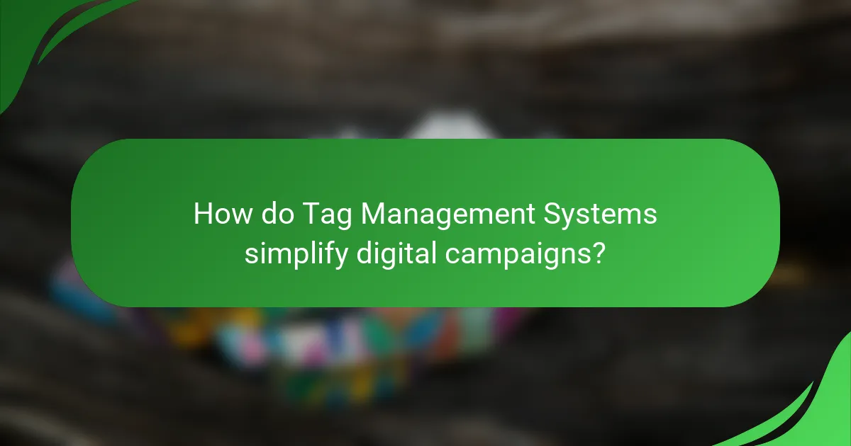 How do Tag Management Systems simplify digital campaigns?