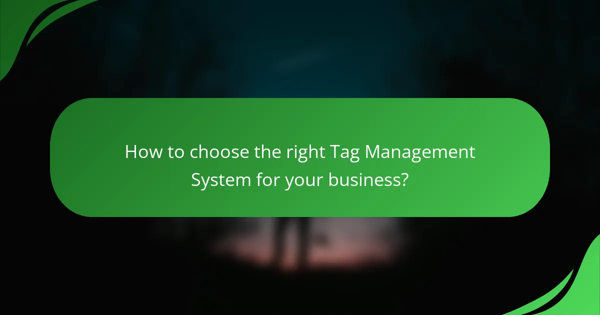 How to choose the right Tag Management System for your business?