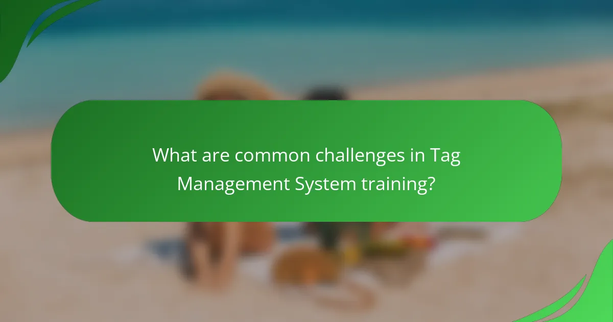 What are common challenges in Tag Management System training?