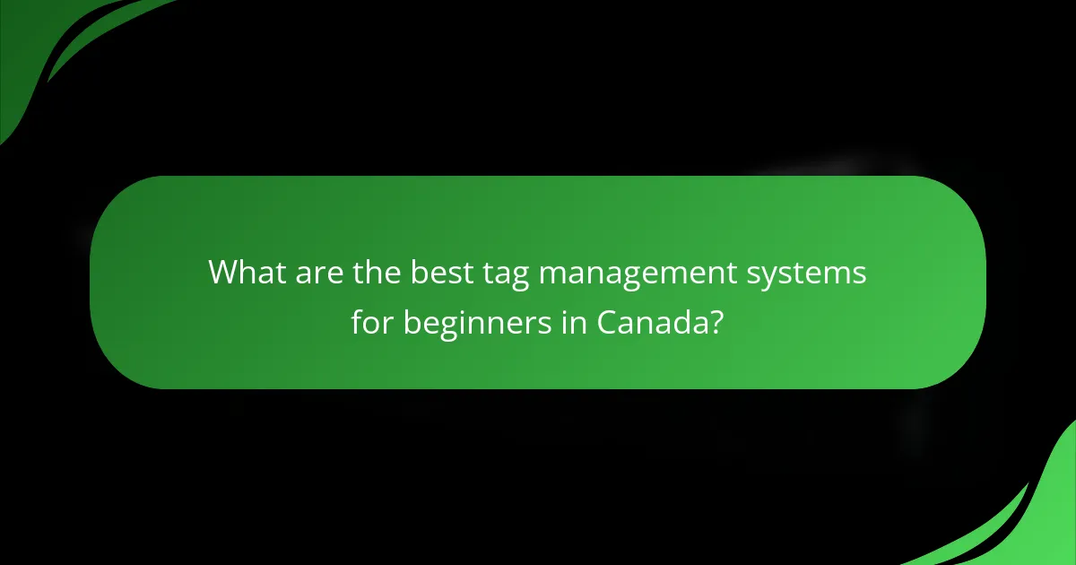 What are the best tag management systems for beginners in Canada?