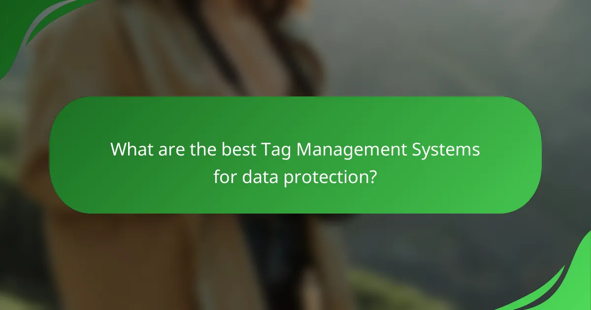What are the best Tag Management Systems for data protection?