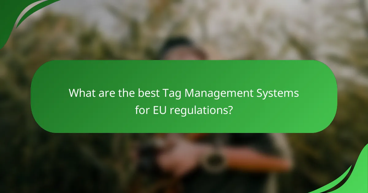What are the best Tag Management Systems for EU regulations?