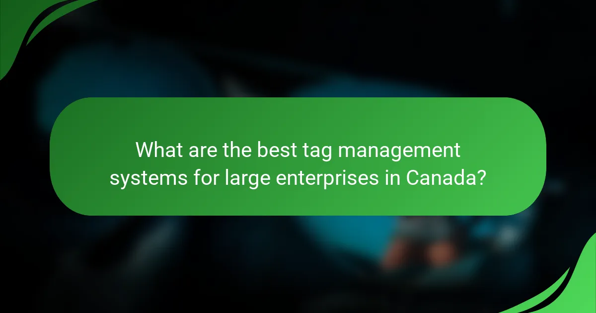 What are the best tag management systems for large enterprises in Canada?