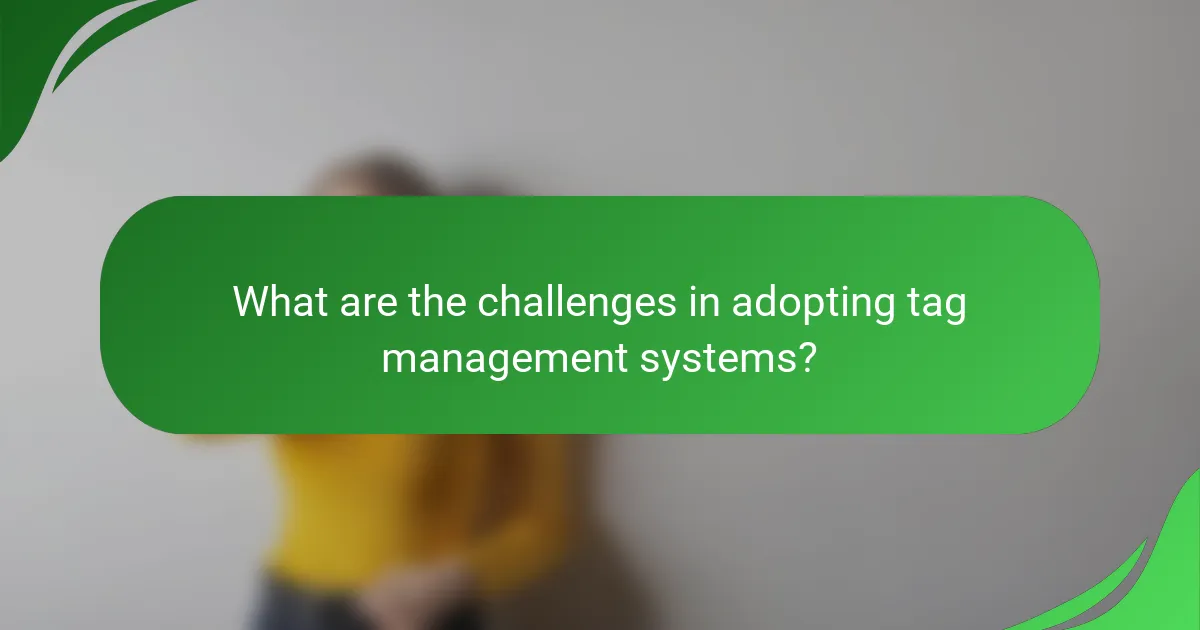 What are the challenges in adopting tag management systems?