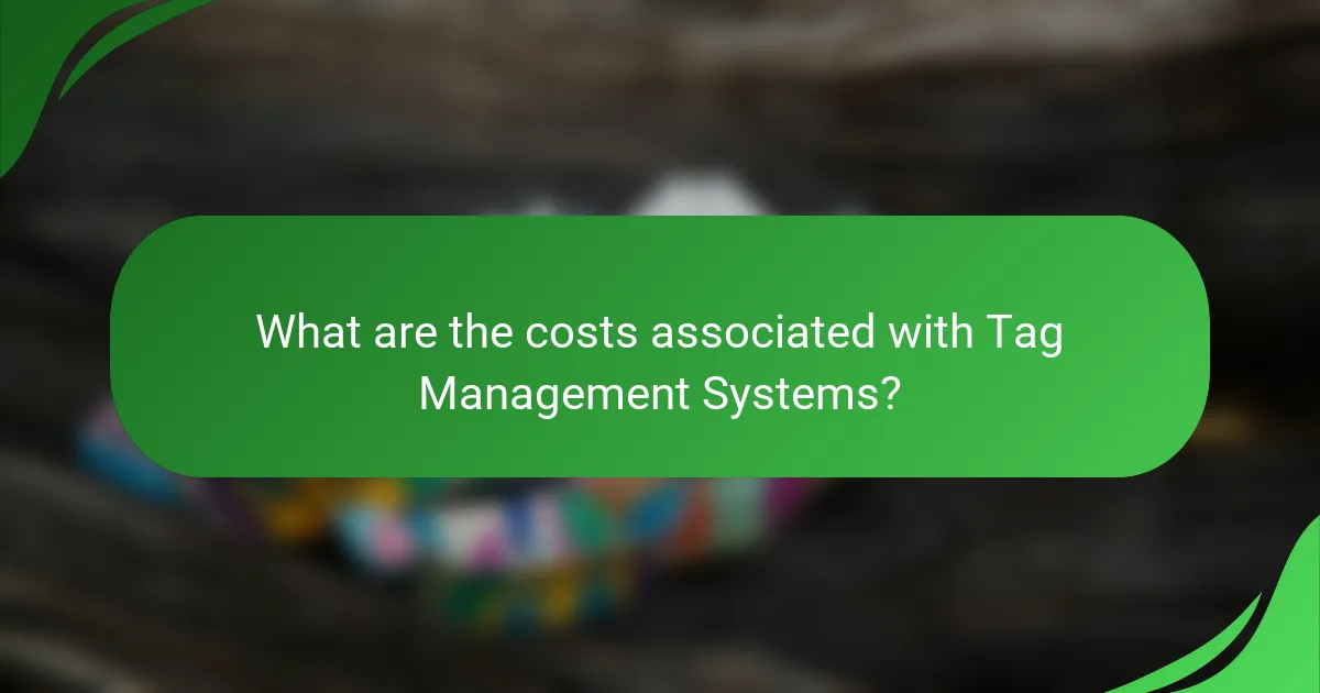 What are the costs associated with Tag Management Systems?