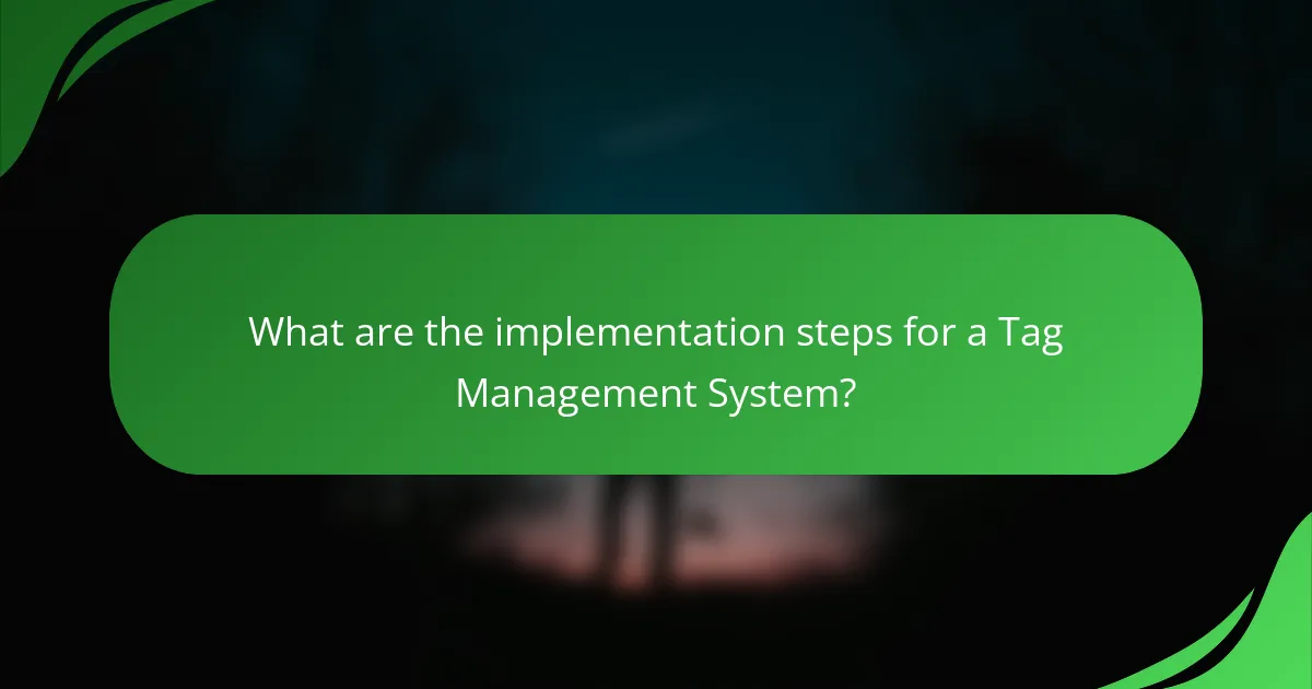 What are the implementation steps for a Tag Management System?