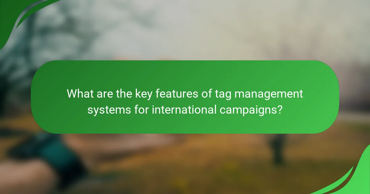 What are the key features of tag management systems for international campaigns?