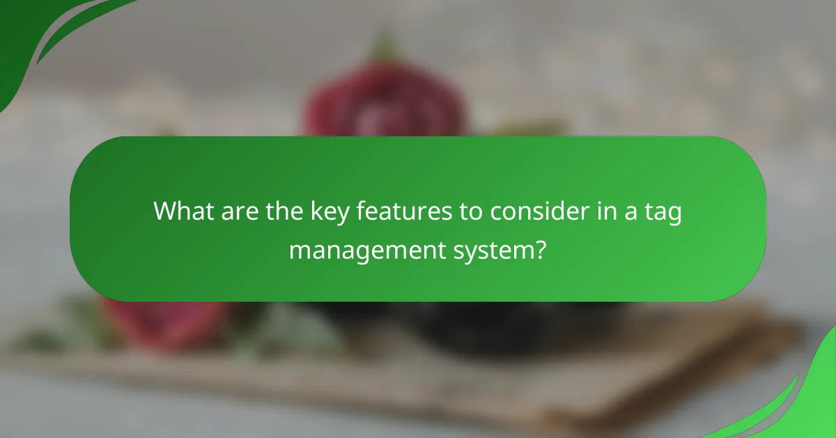 What are the key features to consider in a tag management system?