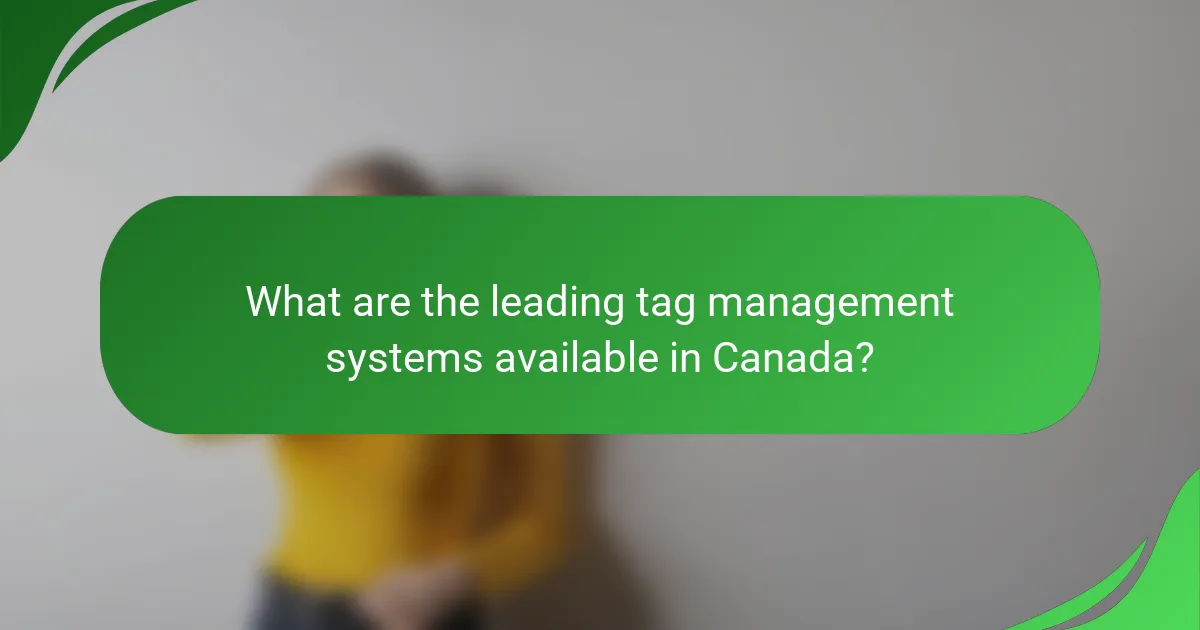What are the leading tag management systems available in Canada?