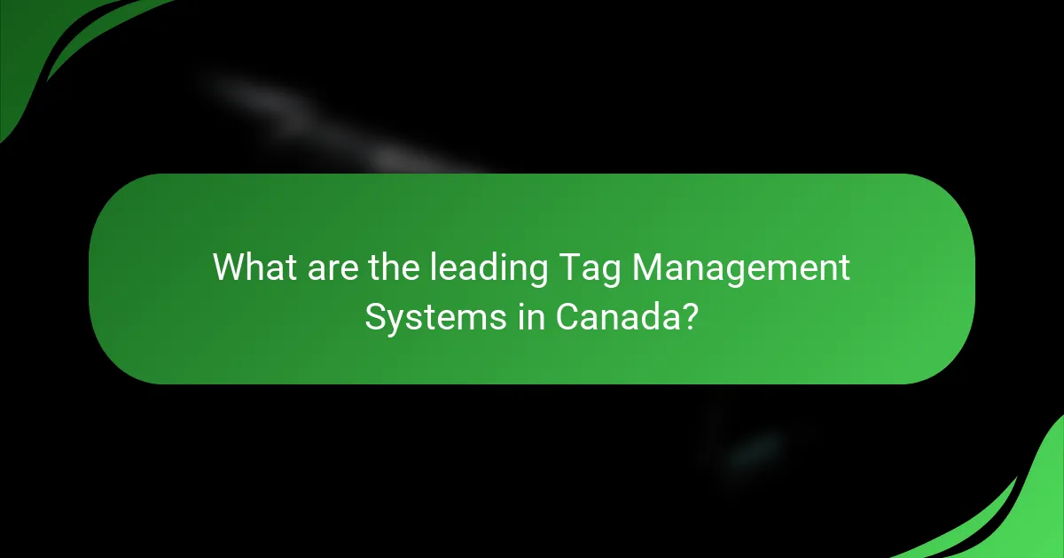 What are the leading Tag Management Systems in Canada?