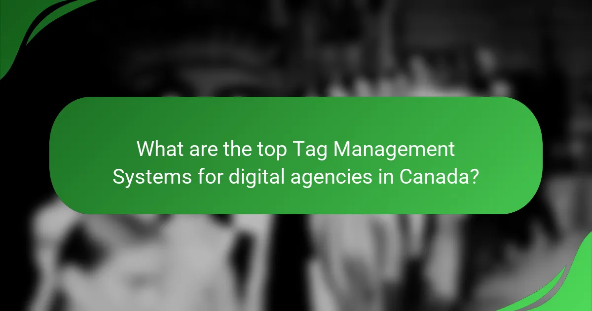 What are the top Tag Management Systems for digital agencies in Canada?