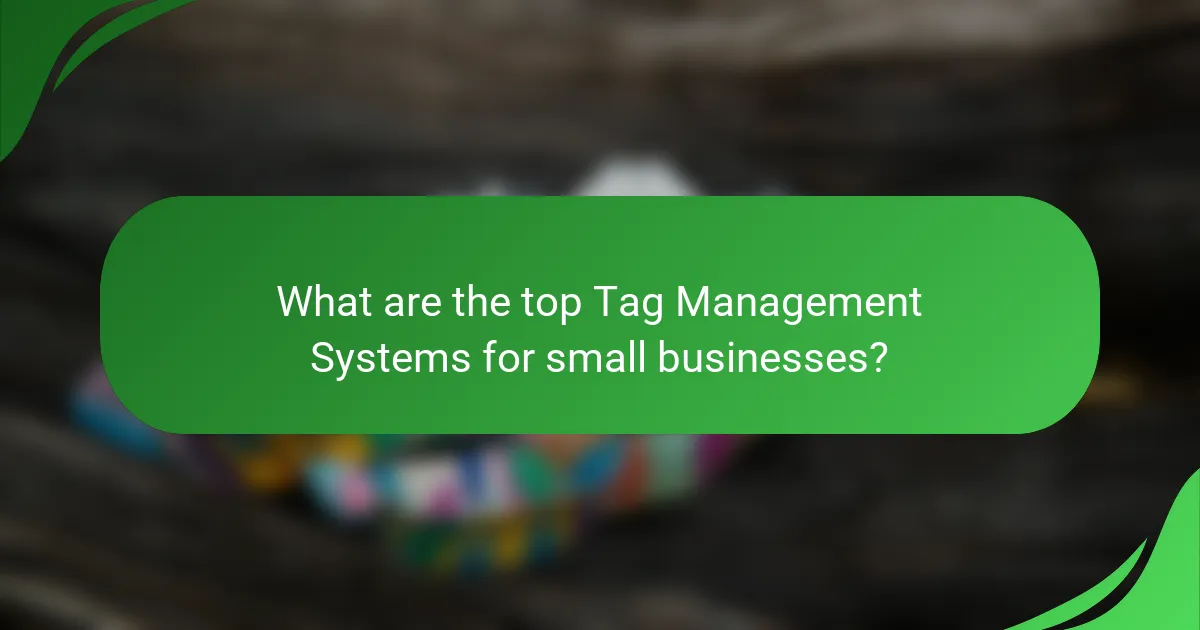 What are the top Tag Management Systems for small businesses?