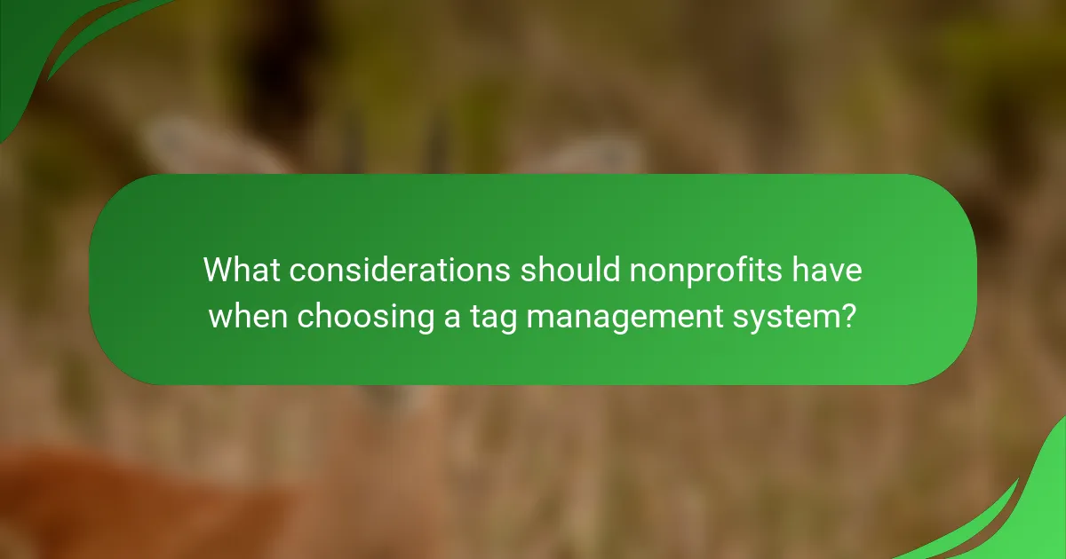 What considerations should nonprofits have when choosing a tag management system?