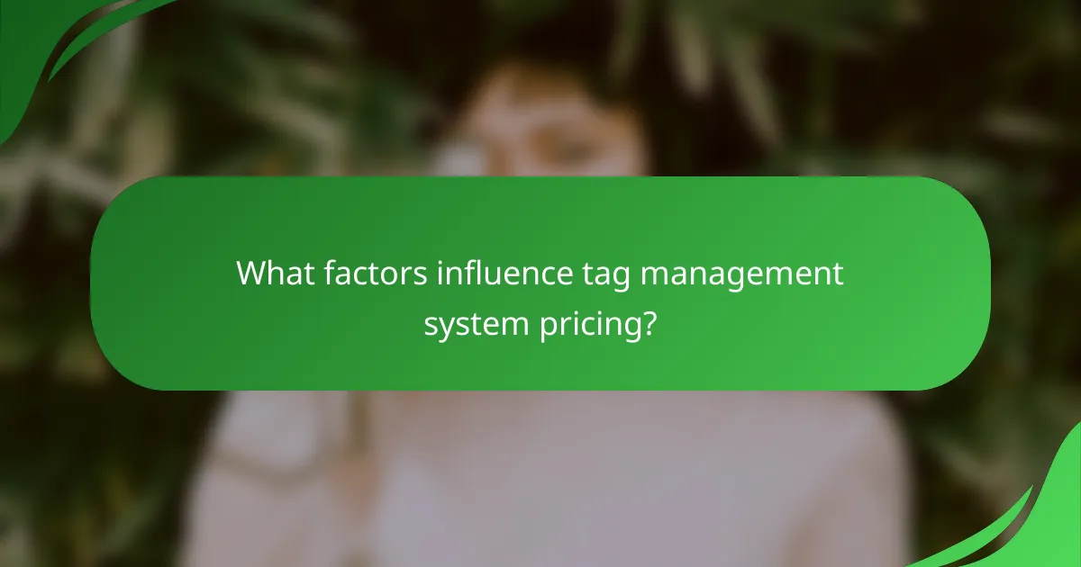 What factors influence tag management system pricing?