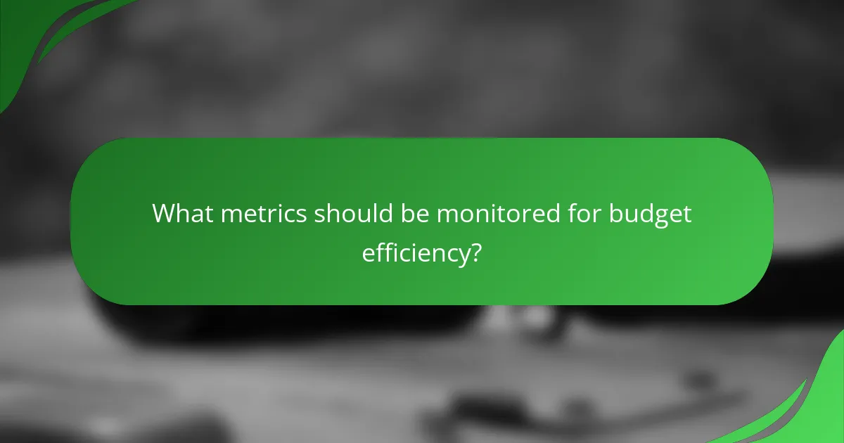 What metrics should be monitored for budget efficiency?