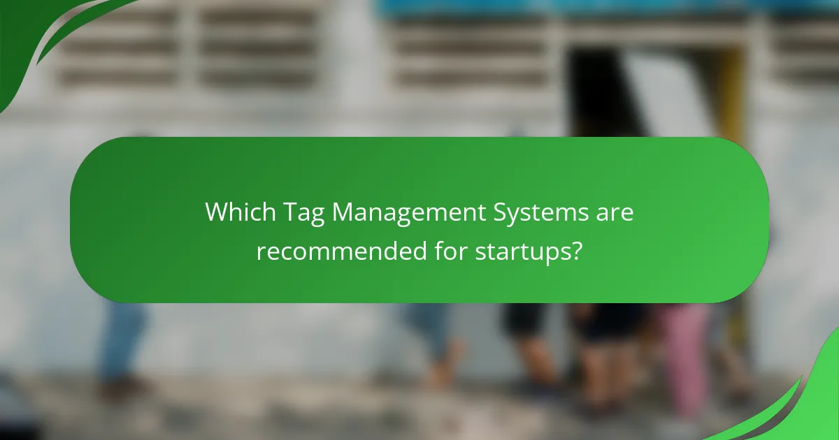 Which Tag Management Systems are recommended for startups?